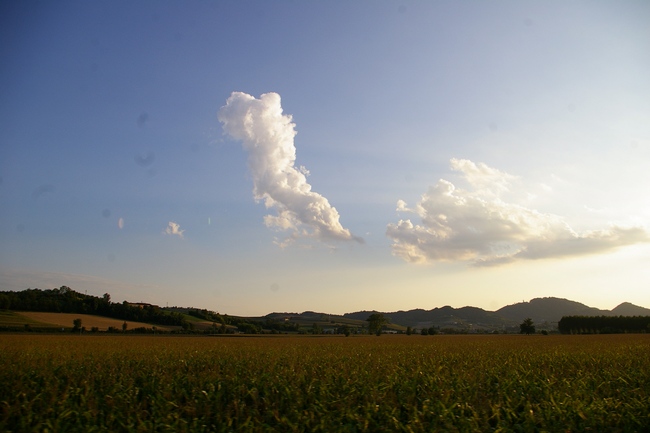 Foto del Comune di Ozzano Monferrato (AL)