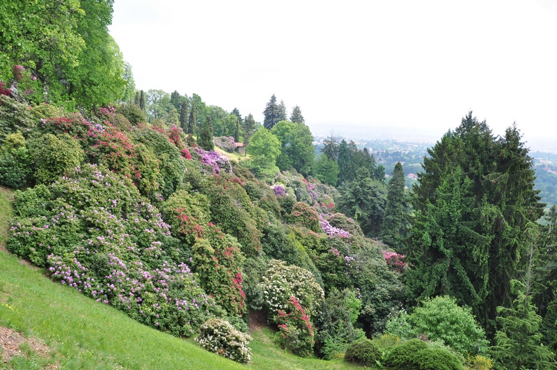 Foto del Comune di Pollone (BI)