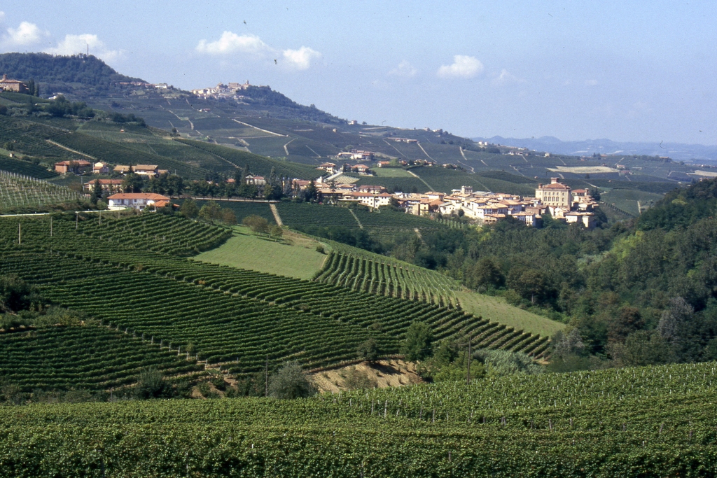 Foto del Comune di Barolo (CN)