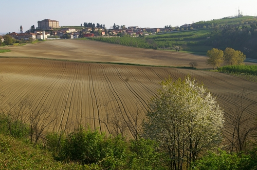 Foto del Comune di Guarene (CN)