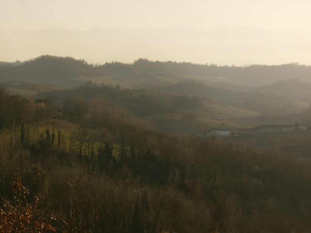 Foto del Comune di Monforte d'Alba (CN)