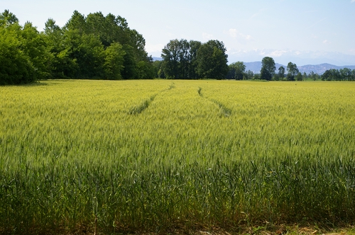 Foto del Comune di Poirino (TO)