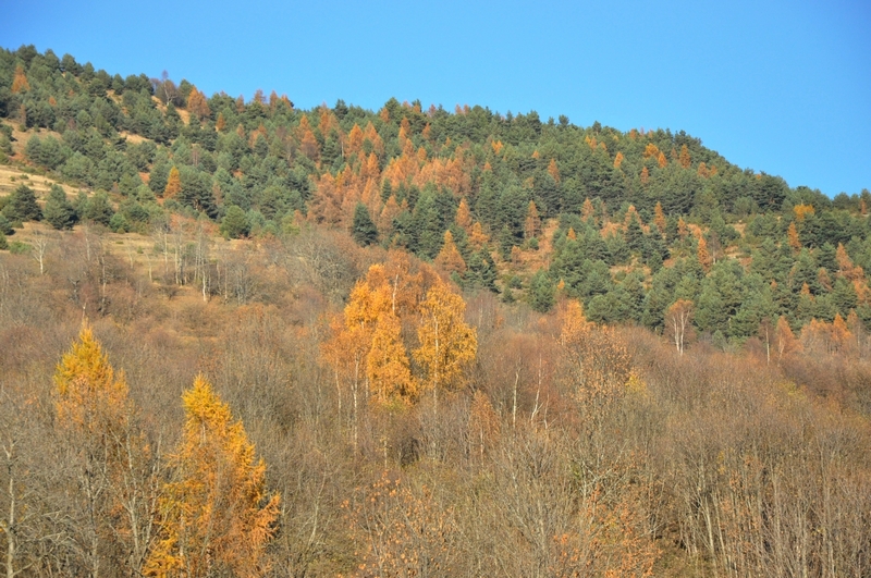 Immagini e Fotografie di vedute di paesaggi del Comune di Pramollo (TO). 