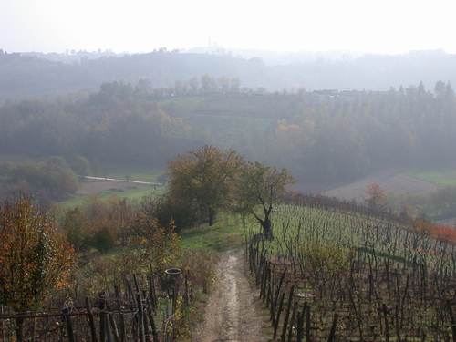 Foto del Comune di Revigliasco d'Asti (AT)