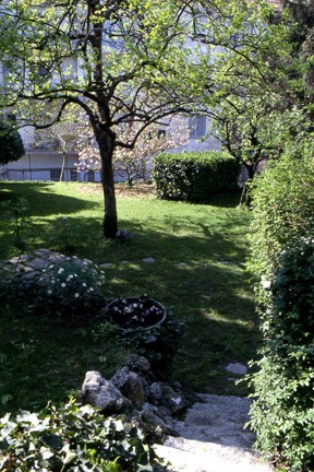 Veduta d'insieme dell'ampio tappeto erboso presente nella parte centrale del giardino, ricco di  esemplari arborei di pregio