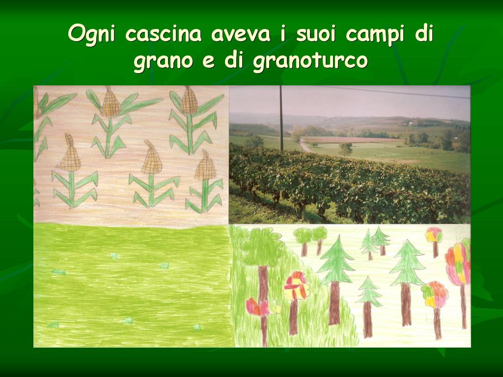 Progetto di Educazione Ambientale Territorio, Paesaggio, Patrimonio naturale Astigiano e nel Monferrato " CASTELBOGLIONE IERI  e OGGI"