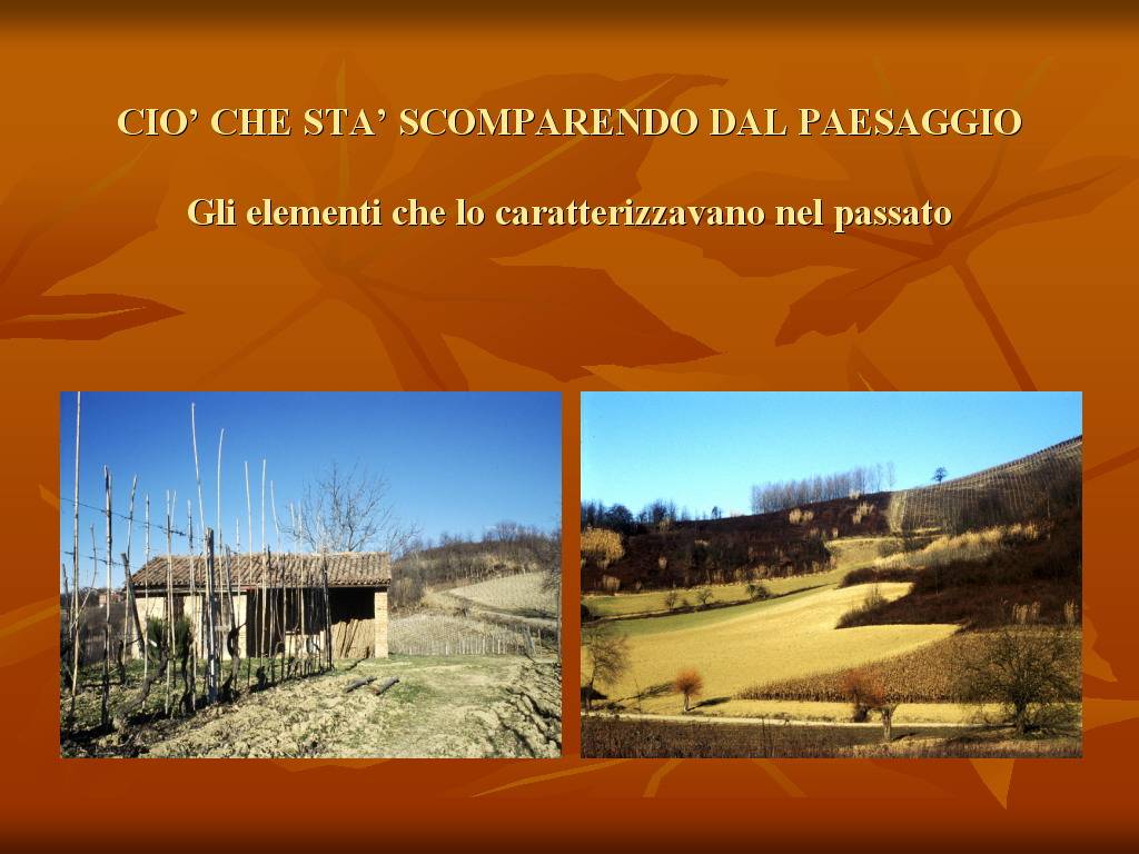 Progetto di Educazione Ambientale "Territorio, Paesaggio, Patrimonio naturale Astigiano e Monferrato"