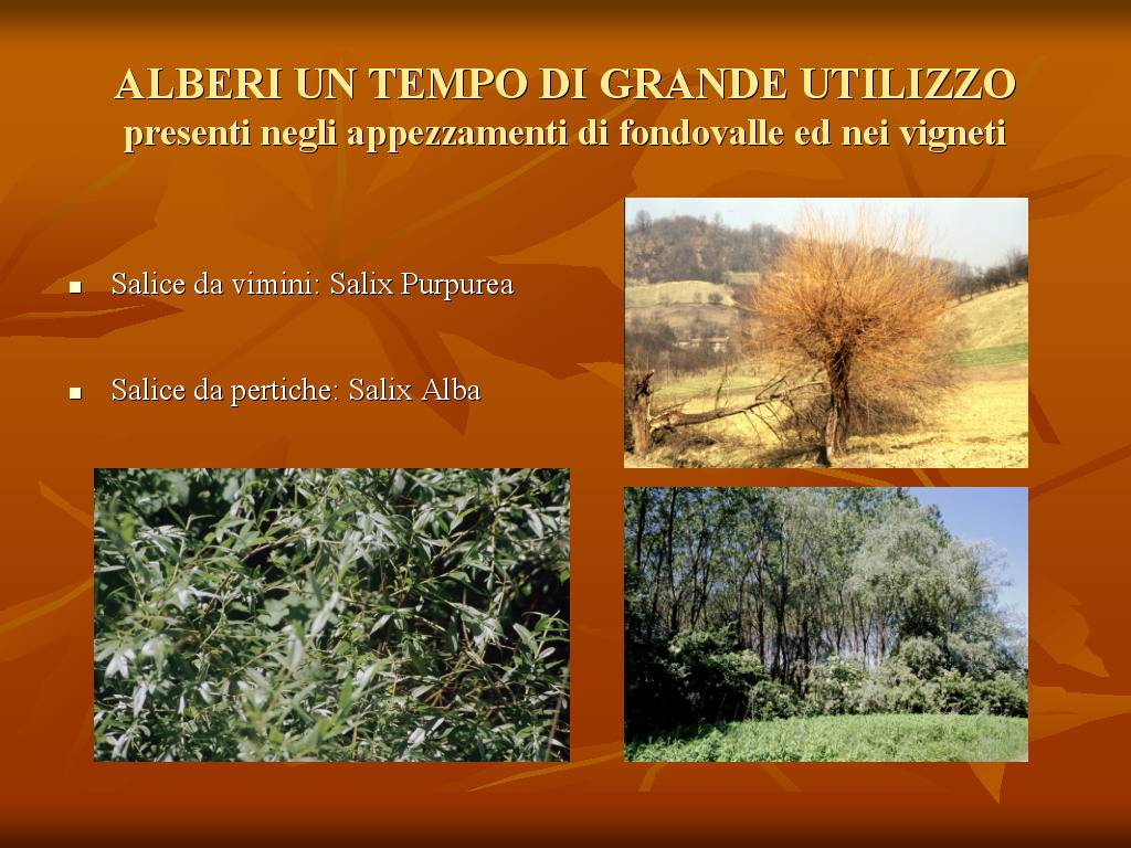 Progetto di Educazione Ambientale "Territorio, Paesaggio, Patrimonio naturale Astigiano e Monferrato"