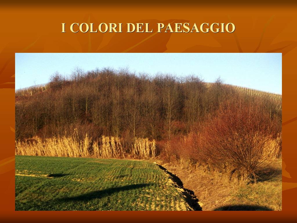 Progetto di Educazione Ambientale "Territorio, Paesaggio, Patrimonio naturale Astigiano e Monferrato"