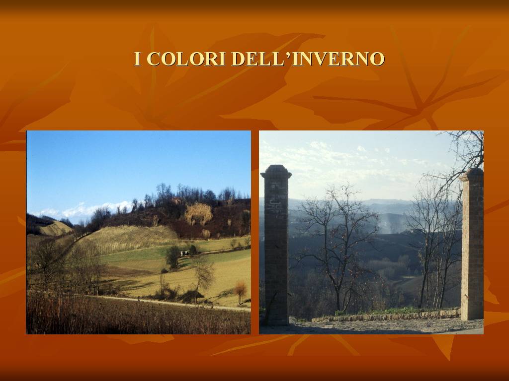 Progetto di Educazione Ambientale "Territorio, Paesaggio, Patrimonio naturale Astigiano e Monferrato"