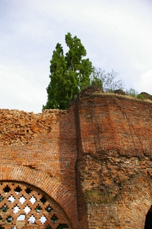 Visita guidata alle Antiche Mura della Città di Asti nell'ambito della Rassegna Verdeterra 2007.