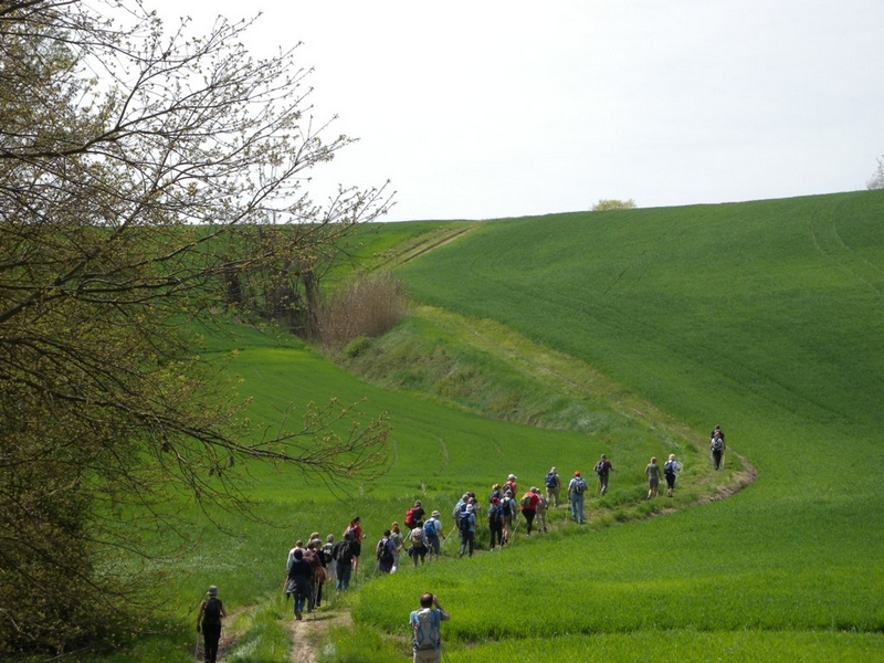 Escursionisti in cammino alla scoperta delle Chiese romaniche dell Alto Astigiano [Foto di Ute Ludwig].