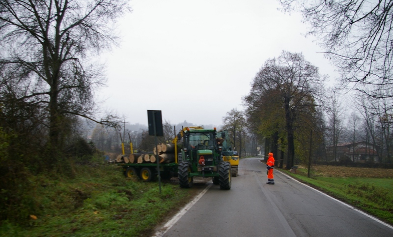 Abbattimento degli alberi a Montafia lungo la S.P. 2 "Murisengo-Villanova, oggetto della lettera del Soprintendente per i Beni architettonici e paesaggistici per le Provincie di Torino, Asti, Cuneo, Biella e Vercelli, letta pubblicamente sabato 23 febbraio presso la sala del Consiglio comunale di Montafia.