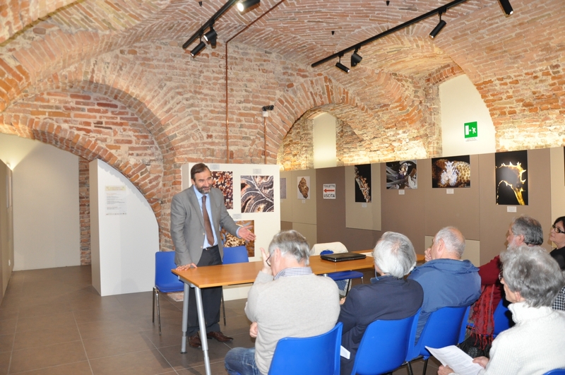 Riflessioni sul tema della Giornata Europea delle Alberate da parte di Marco Devecchi (Presidente dell Osservatorio del Paesaggio per il Monferrato e l Astigiano) [Foto di Mirella Zitti].