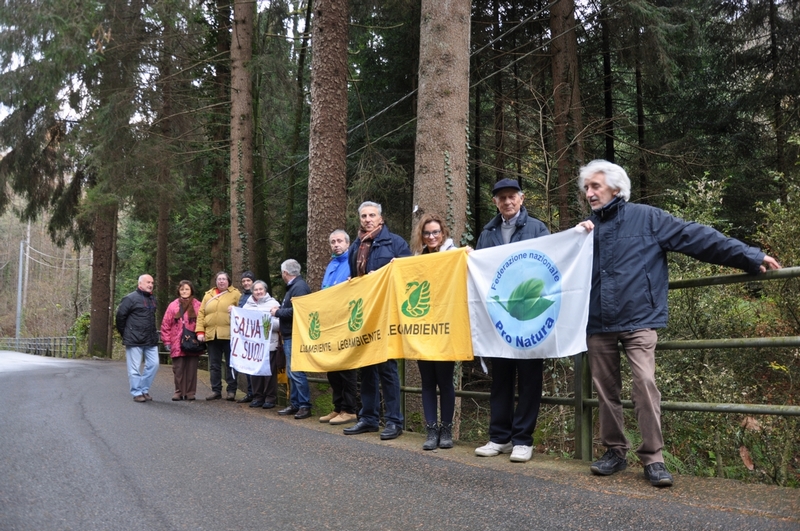 Momento della visita guidata allo straordinario patrimonio arboreo della Vallaccia di Varallo Sesia.