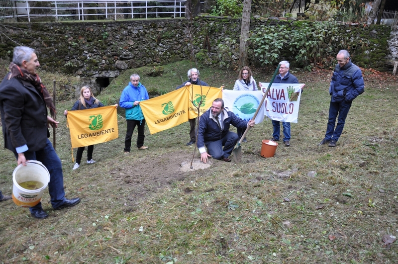 Esecuzione delle operazioni di piantagione di un Melo di una cultivar antica tradizionale per la località Vallaccia di Varallo Sesia, in occasione della Giornata Nazionale degli Alberi.