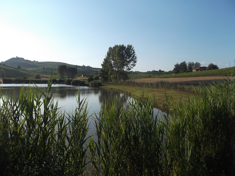 Veduta dello straordinario paesaggio del Paludo nei territori di Agliano Terme, Calosso e Costigliole d Asti.