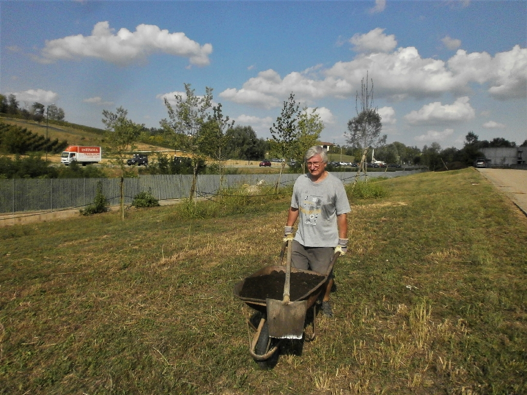 Distribuzione del compost agli alberi del Parco della Salute dell Ospedale Cardinal Massaia di Asti da parte di Angelo Porta.