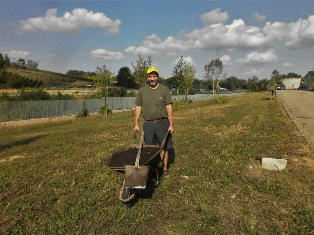 Distribuzione del compost agli alberi del Parco della Salute dell Ospedale Cardinal Massaia di Asti da parte di Marco Devecchi [Foto di Angelo Porta].