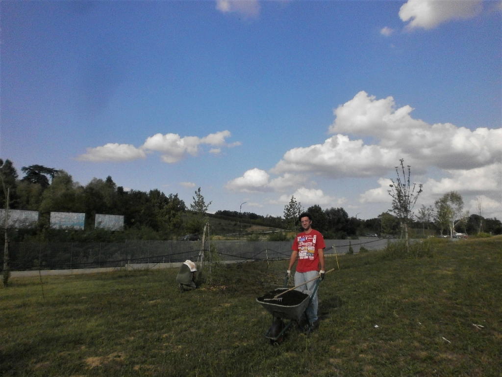 Distribuzione del compost agli alberi del Parco della Salute dell Ospedale Cardinal Massaia di Asti da parte di Alessandro Risso.