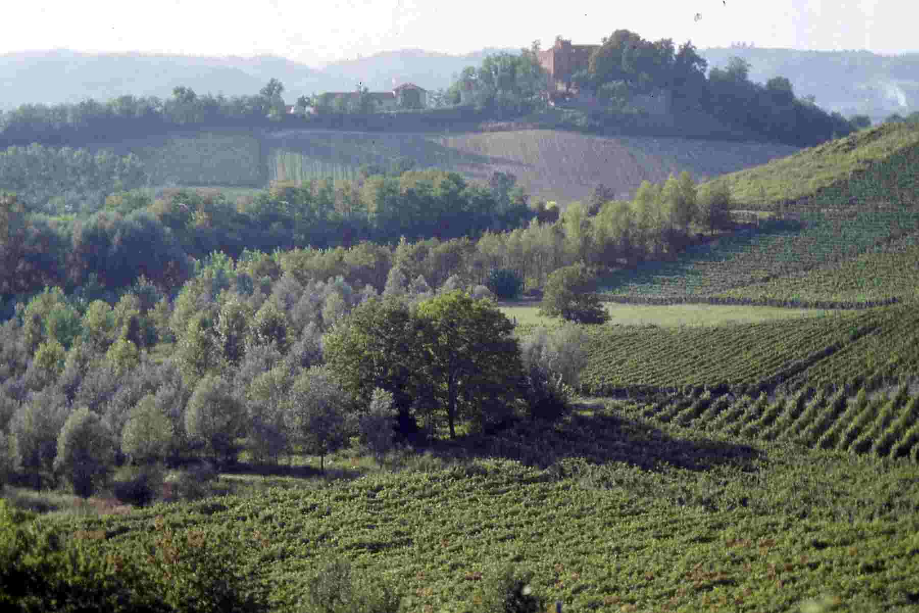 Paesaggio agrario astigiano tra Mongardino e San Marzanotto.