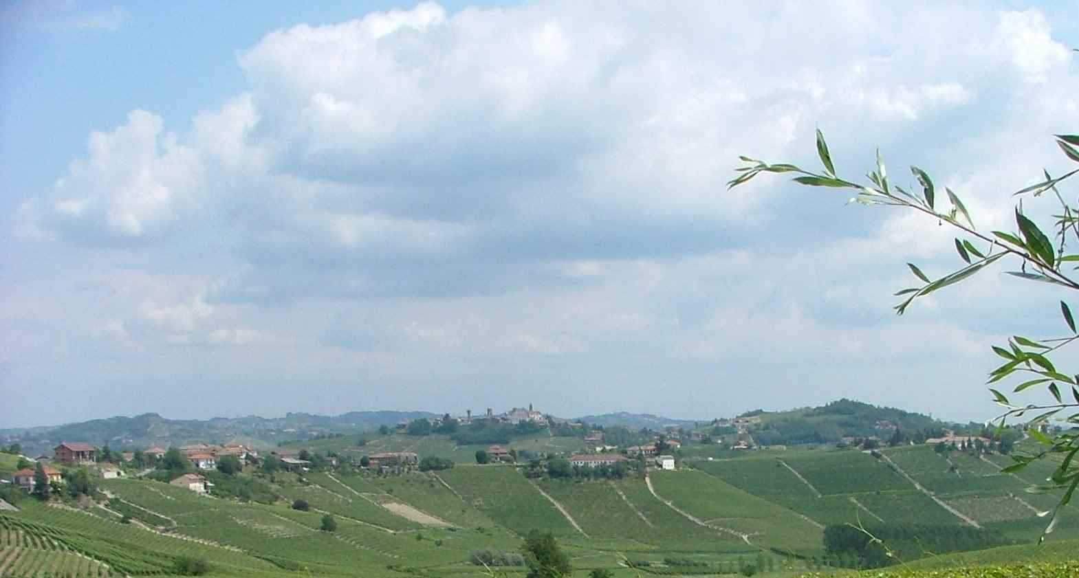 "Nuvole" sullo straordinario paesaggio viticolo astigiano. 