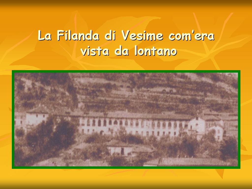 Progetto di Educazione Ambientale Territorio, Paesaggio, Patrimonio naturale Astigiano e nel Monferrato "DAL GELSO ALLA SETA"