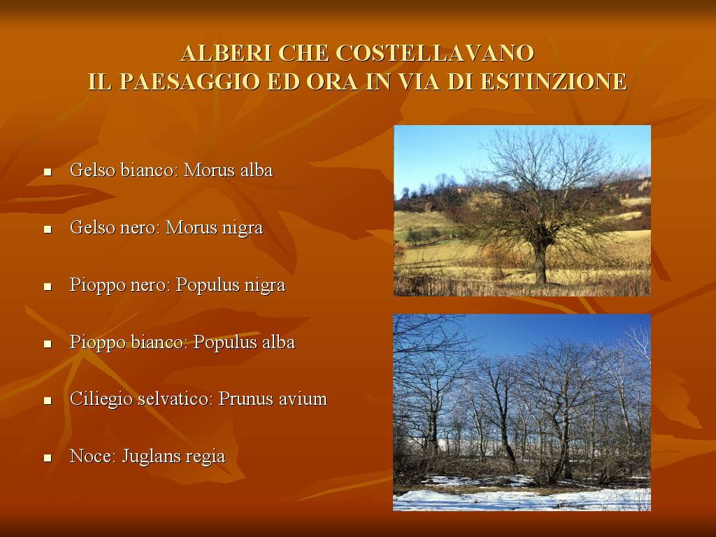 Progetto di Educazione Ambientale "Territorio, Paesaggio, Patrimonio naturale Astigiano e Monferrato"