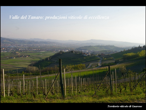 Relazione del Prof. Marco Devecchi (Facoltà di Agraria - Università di Torino) su Paesaggio, Vino e Agricoltura.