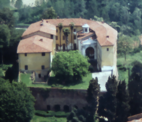 Palme monumentali (Trachycarpus fortunei) presenti nel giardino del Castello di Settime d'Asti.