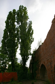 Visita guidata alle Antiche Mura della Città di Asti nell'ambito della Rassegna Verdeterra 2007.