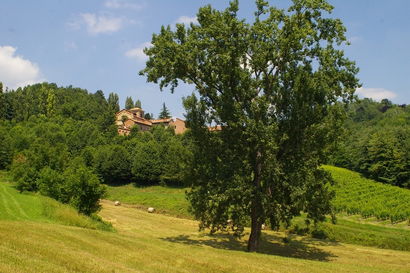 Veduta nel pregevolissimo paesaggio boschivo della Canonica di Santa Maria di Vezzolano ad Albugnano.