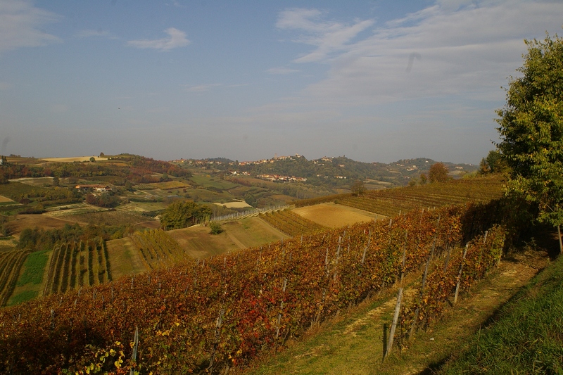 Veduta dello straordinario paesaggio agrario nella veste autunnale dell Alto Astigiano.