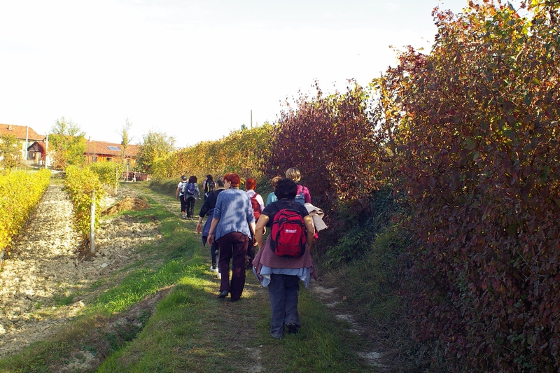 Gruppo in cammino verso la Canonica di Santa Maria di Vezzolano attraverso le vigne dell Alto Astigiano nella veste autunnale.