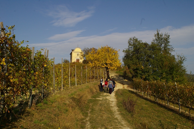 Gruppo in cammino verso la Canonica di Santa Maria di Vezzolano attraverso le vigne dell Alto Astigiano nella veste autunnale.