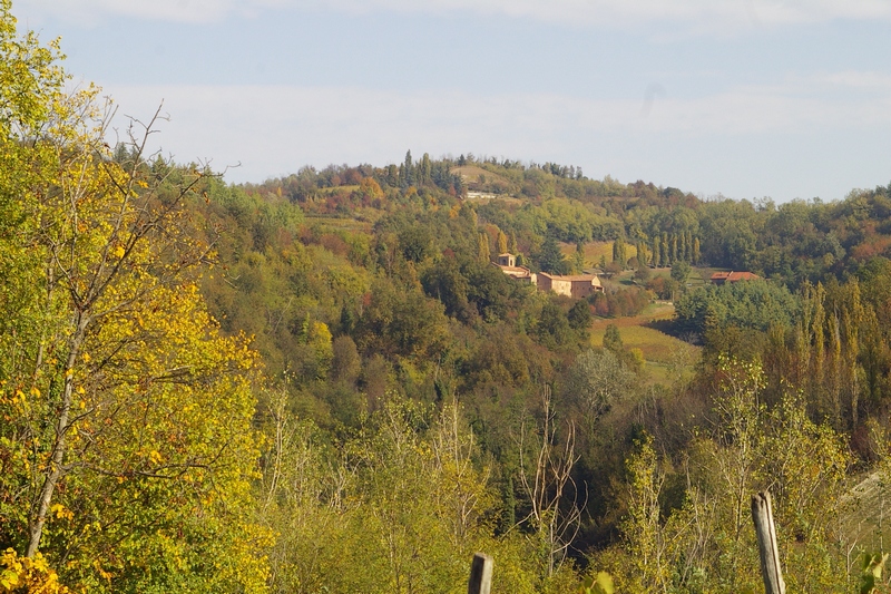 Veduta della Canonica di Santa Maria di Vezzolano immersa tra i boschi dell Astigiano nella vivace veste autunnale.