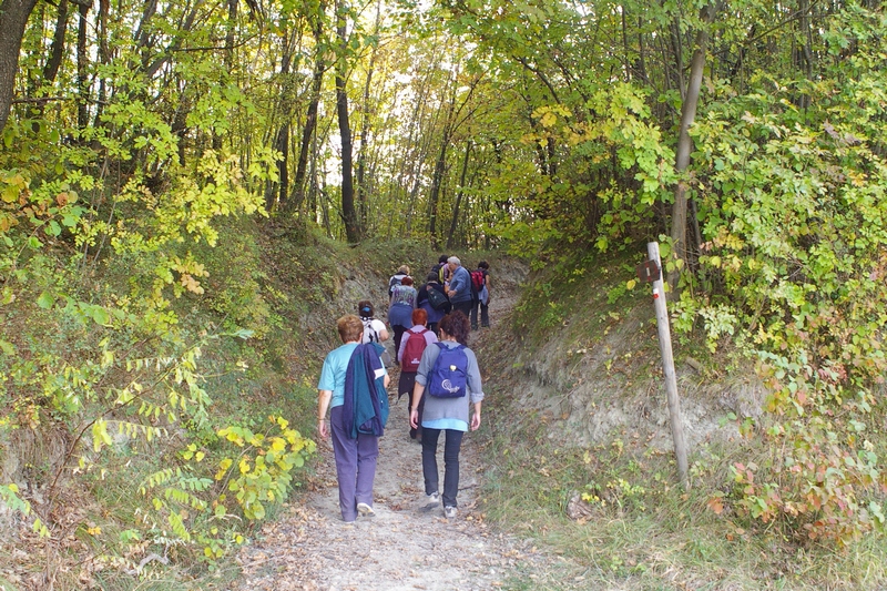 Ritorno da parte del gruppo di camminatori verso la Chiesa di Sant Eusebio di Castelnuovo Don Bosco, attraverso la folta vegetazione boschiva.