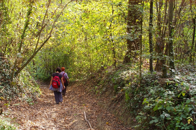 Ritorno da parte del gruppo di camminatori verso la Chiesa di Sant Eusebio di Castelnuovo Don Bosco, attraverso la folta vegetazione boschiva.
