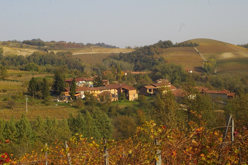Veduta dello straordinario paesaggio agrario dell Alto Astigiano, caratterizzato da boschi e vigneti.