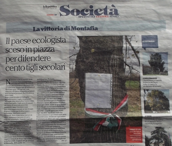 Articolo de La Repubblica (mercoledi 18 maggio 2016) - riconoscimento di notevole interesse pubblico del Viale dei tigli di Montafia