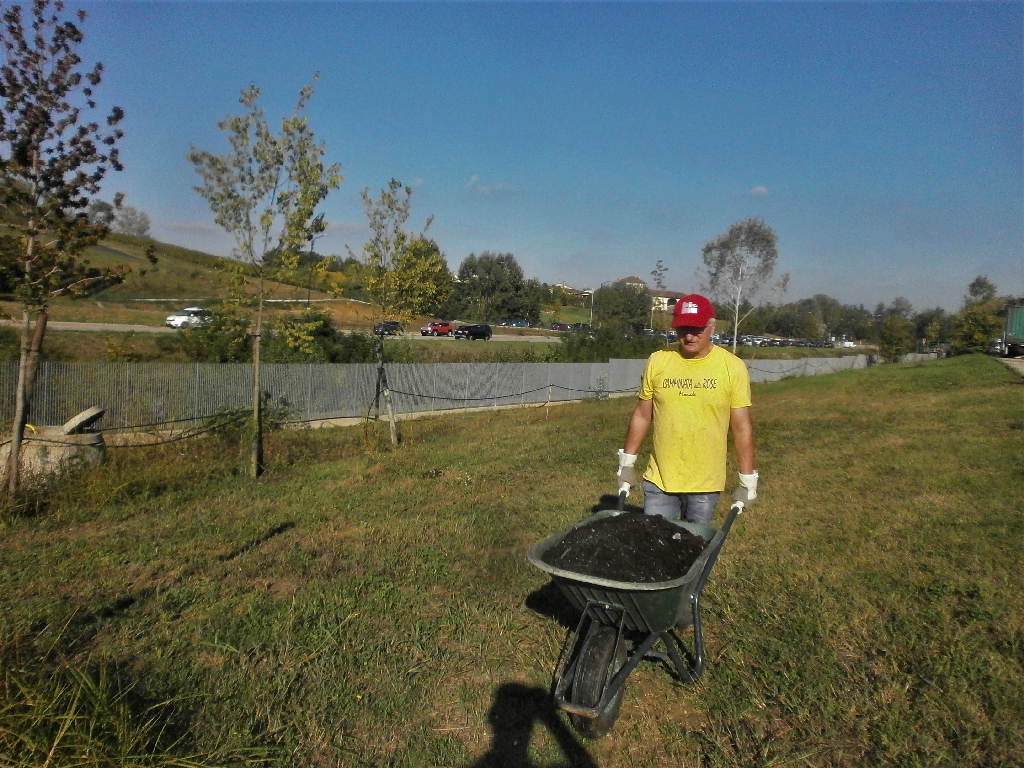 Completamento delle operazioni di distribuzione del compost fornito da GAIA (Gestione Ambientale Integrata dell Astigiano) agli alberi del Parco della Salute da parte di Angelo Porta (Circolo Legambiente Valtriversa).