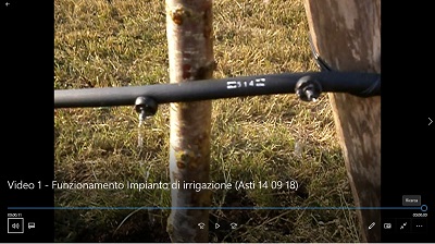 Video 1 di verifica/collaudo del funzionamento dell impianto di irrigazione a servizio degli alberi messi a dimora per la realizzazione del Parco della Salute dell Ospedale Cardinal Massaia di Asti.