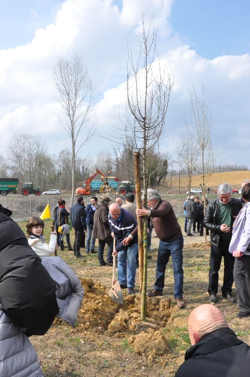 Piantagione di un albero con l aiuto del pubblico presente all inaugurazione [Foto di Daniela Bosia].
